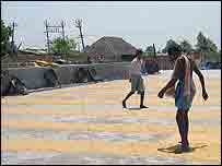 Photo BBC. The now-freed workers worked 19 hour shifts in a rice mill for a total of 3 cents.