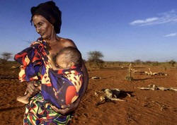 An 80-year-old woman cradles her malnourished grandson near Afder, southern Ethiopia. Photo George Mulala/IRIN