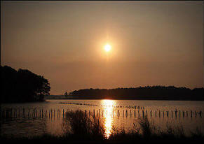 Blackwater National Wildlife Refuge on Maryland's Eastern Shore is among the many coastal marshes that could be inundated by rising sea levels. Photo: Andrea Bruce/Washington Post