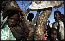 Displaced children mill about in the Nera camp, Darfur Sudan