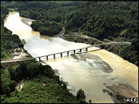 The deal should lead to better protection for tropical forests. Photo:AFP