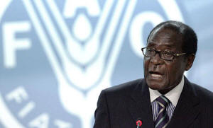 Zimbabwe's president, Robert Mugabe, addresses the UN food security conference in Rome. Photograph: Pier Paolo Cito/AP