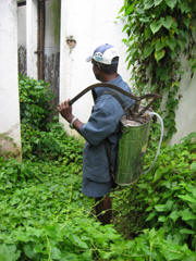In Sri Lanka, local government workers, like this man from the Colombo Municipal Council, are regularly deployed to spray insecticide in homes, gardens and along roadways islandwide. Photo: Christine Jayasinghe/IRIN