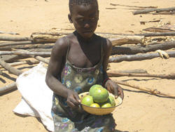A diet of wild fruits. Photo: IRIN News