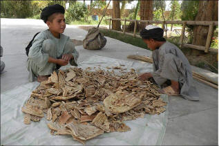 Food is scarce in Afghanistan.  Here two students at a mosque school in Kandahar sort pieces of dried naans, or unleavened bread, given to them by soldiers nearby. Photo: BBC 