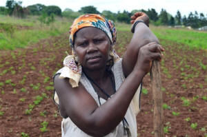 Photo of Swazi woman farmer leaning on her hoe. Photo: Mujahid Safodien/IRIN &nbsp;