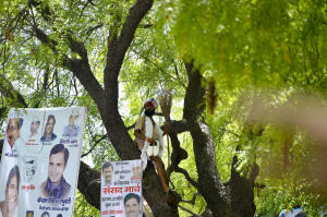 Indian farmer Gajendra Singh stands on a tree before committing suicide during an Aam Aadmi Party rally in New Delhi. Photo: Chandran Khanna/AFP/Getty Images