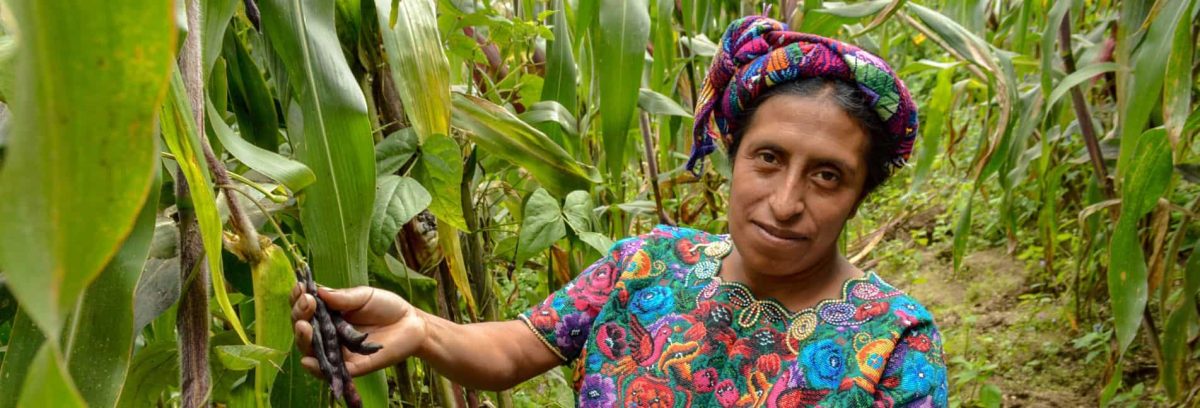Latin American woman shows crops on her farm