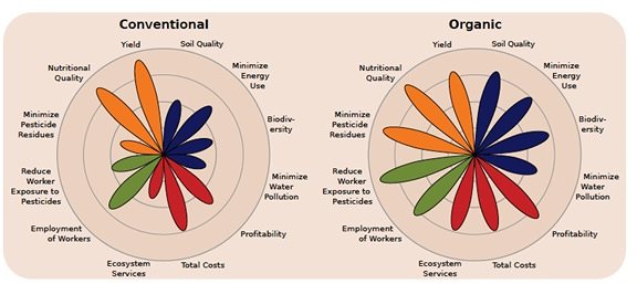 The flower petals and the labels represent different sustainability metrics that compare organic farming with conventional farming. They illustrate that organic systems can better balance the four areas of sustainability: production (orange), environment (blue), economics (red) and social wellbeing (green). Illustration: John Reganold and Jonathan Wachter/The Guardian