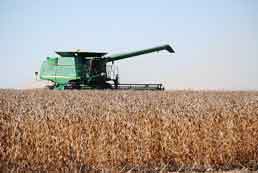 Machine harvesting soybeans. Photo: United Soybean Board