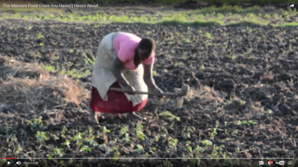 The massive food crisis you haven’t heard about (video)