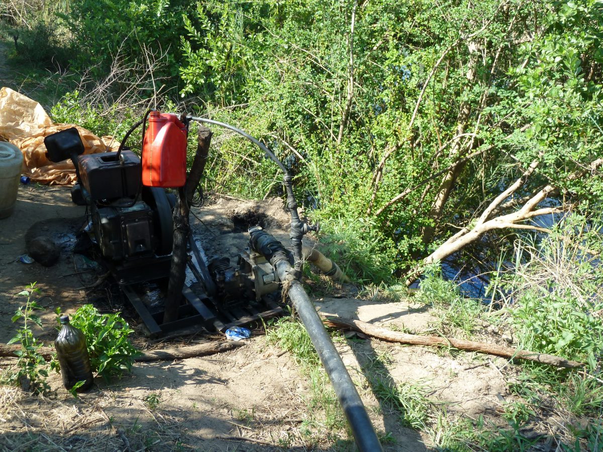 Farmer-led irrigation in Africa: Driving a new Green Revolution?