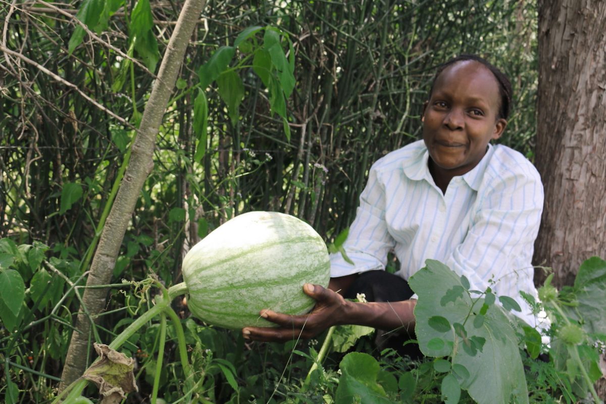 Kenyan farmers reap economic, environmental gains from ABCDs of agroforestry