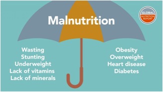 Nutrition and Malnutrition Programmes 