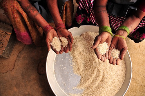 UN Secretary General Warns of Worst Food Crisis in 50 Years