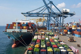 Food, Climate, Markets